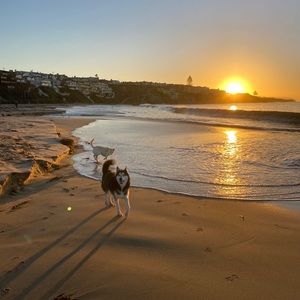 Meet your Posher, Zachary